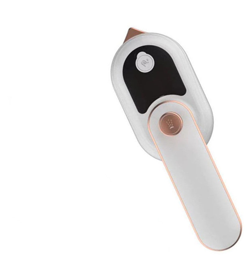 Portable Steam Iron